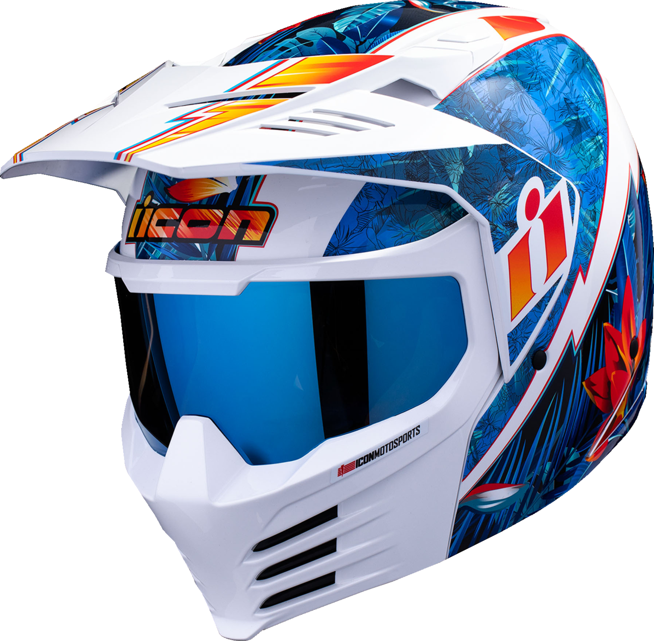 ICON Elsinore Kaonohi Helmet