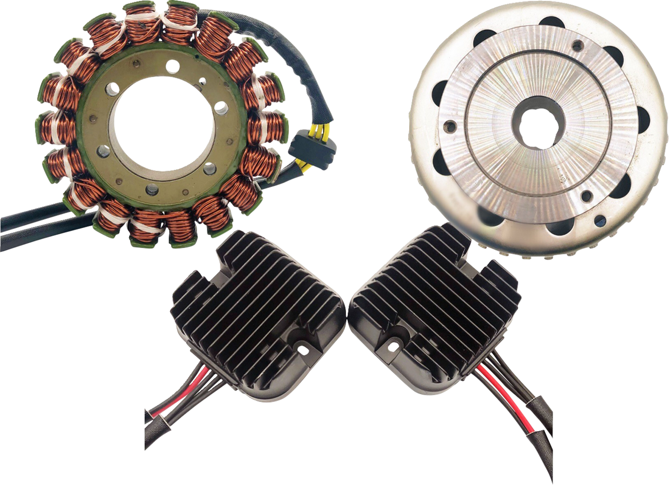 Rick's Motorsport Electric Double Shot Charging Kit