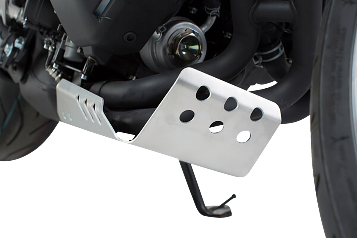 SW-Motech Engine Guard