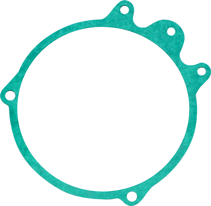 Rick's Motorsport Electric Stator Gasket