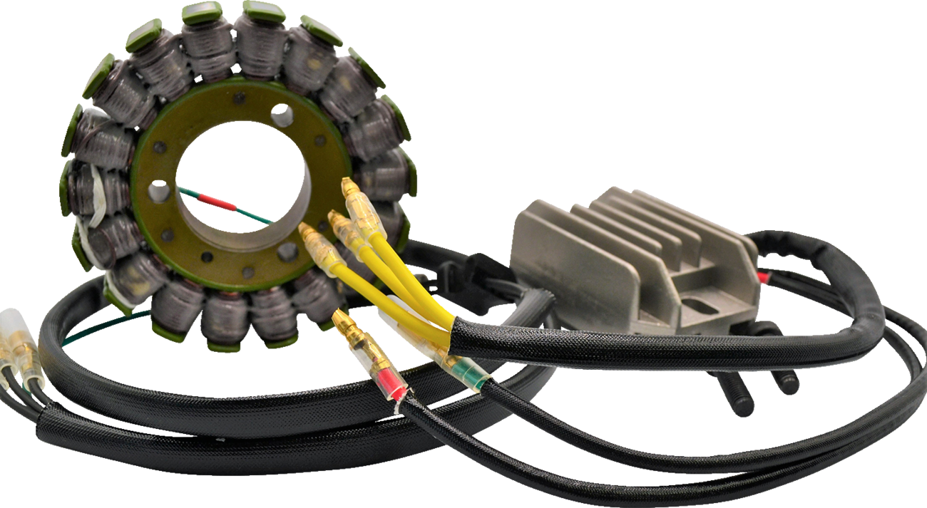 Rick's Motorsport Electric Lithium-Ion Charging Kit