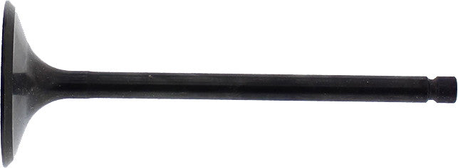 HOT CAMS Intake Valve