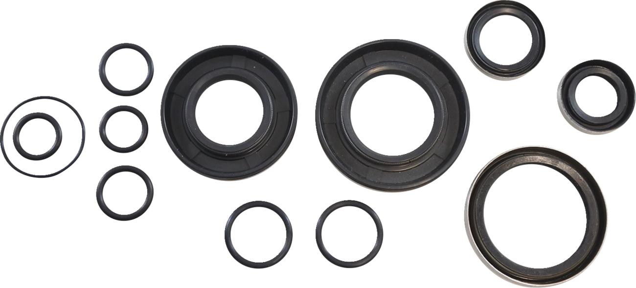 Vintco Oil Seal Kit