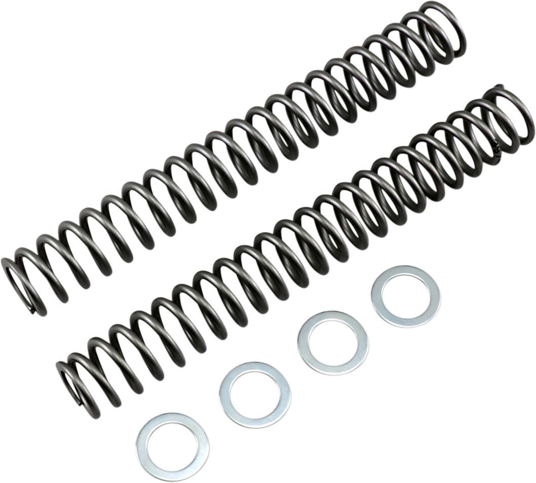 Race Tech Fork Springs