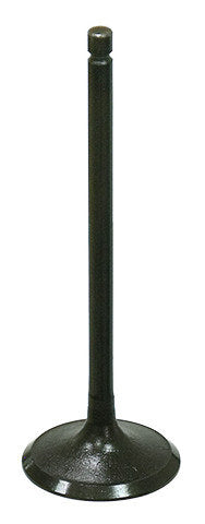 Namura Intake Valve