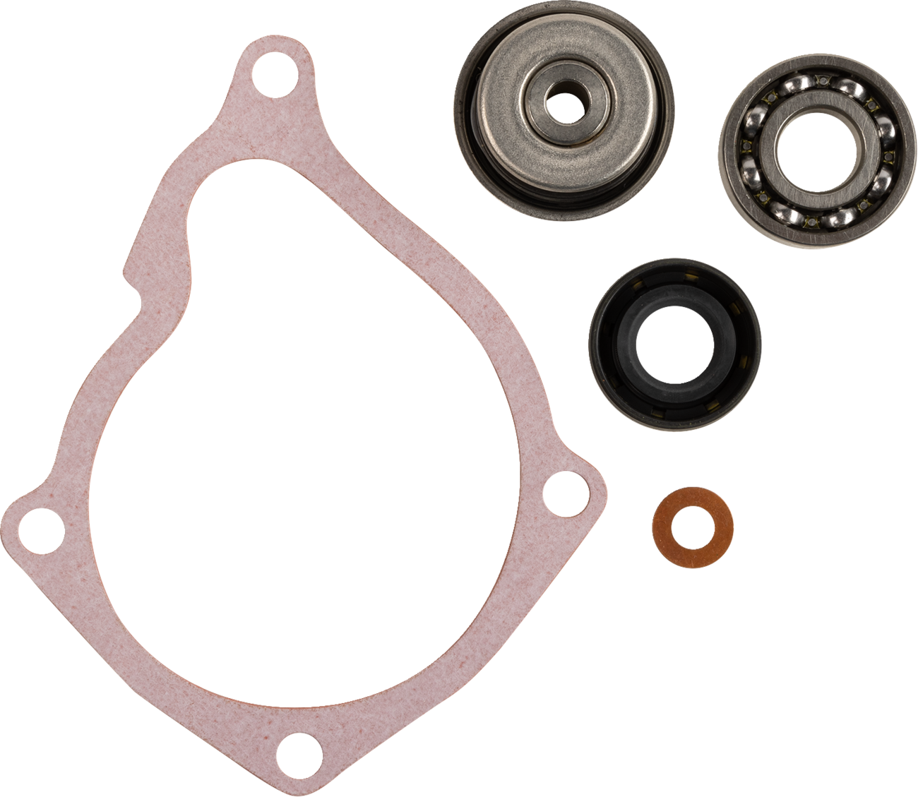 Pro X Water Pump Rebuild Kit