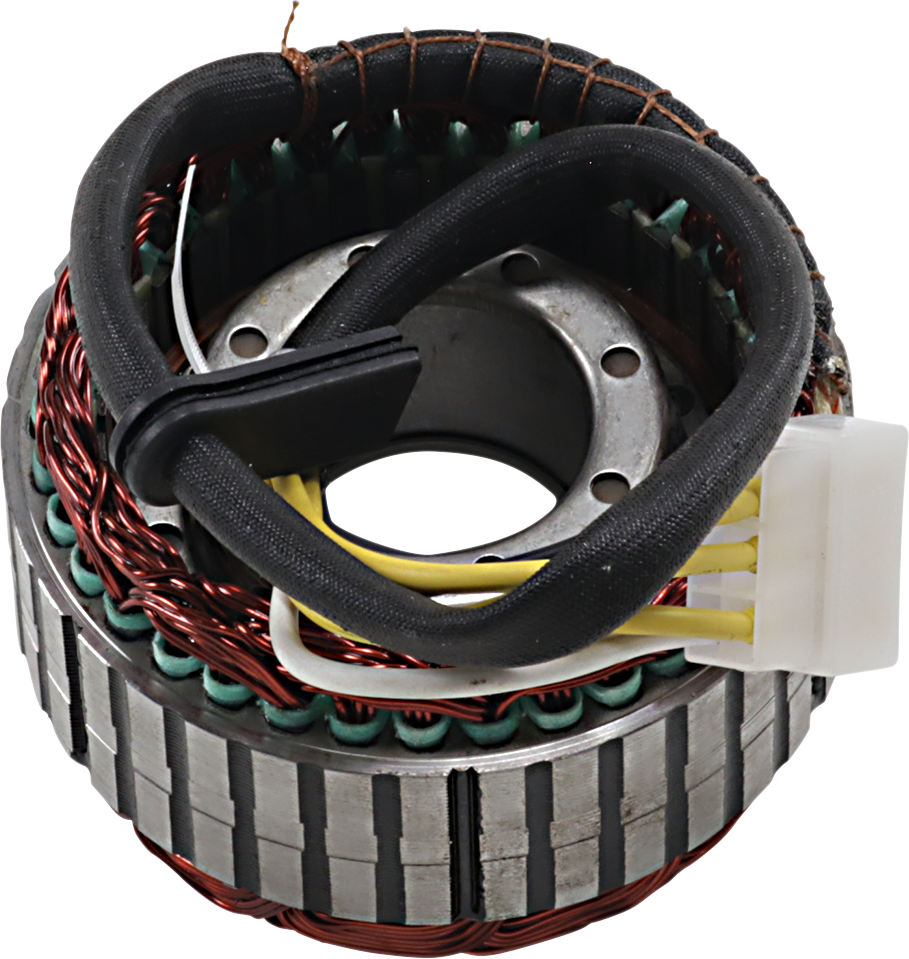 Rick's Motorsport Electric Stator