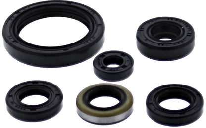 VERTEX Oil Seal Set