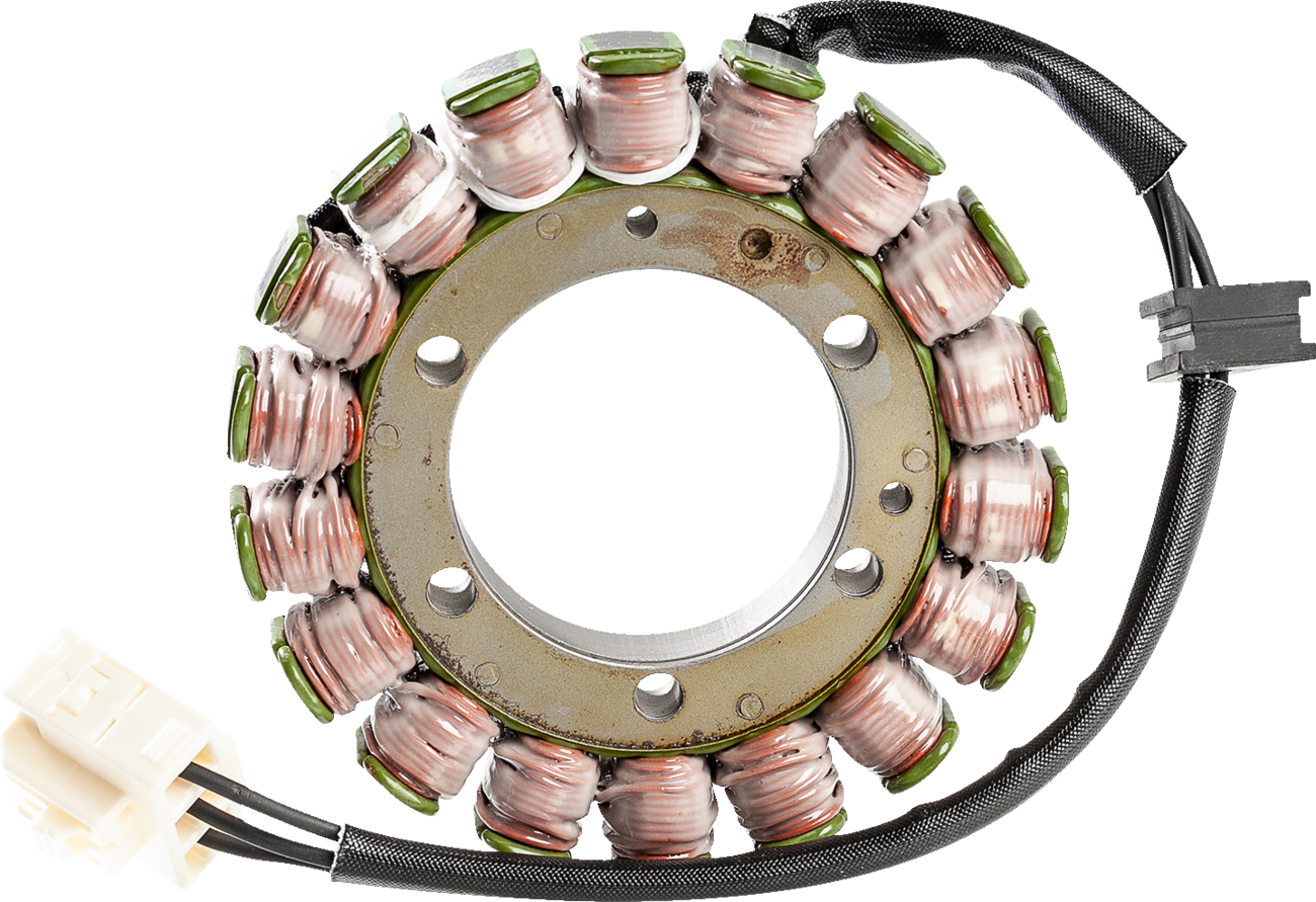 Rick's Motorsport Electric Stator