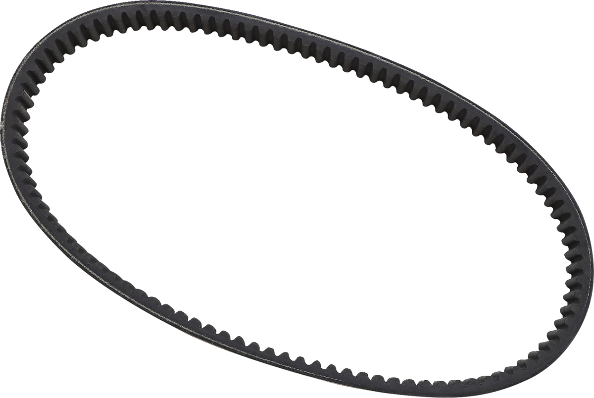 EPI Standard Drive Belt