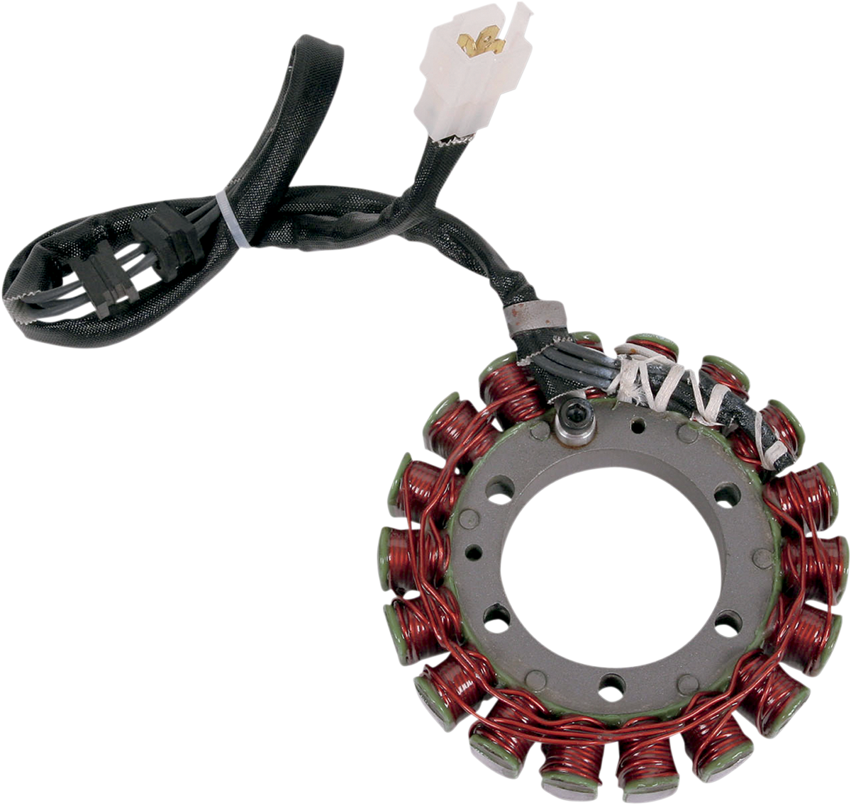 Rick's Motorsport Electric Stator