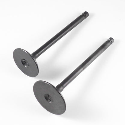SHINDY Valve Set