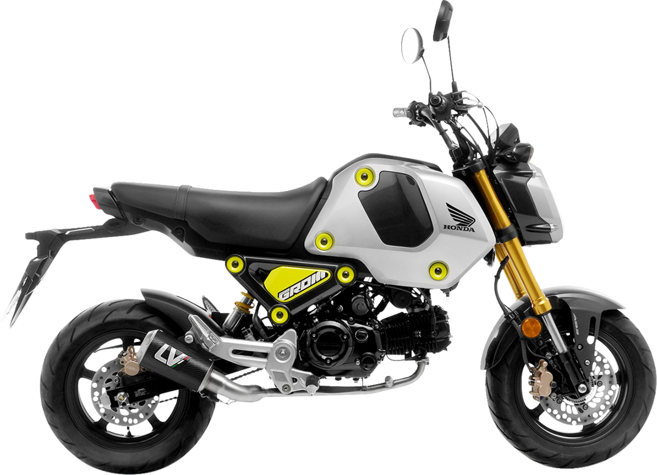 Leovince LV-10 Exhaust