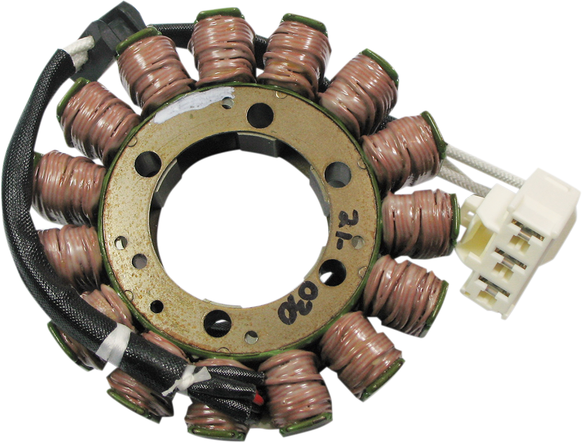 Rick's Motorsport Electric Stator