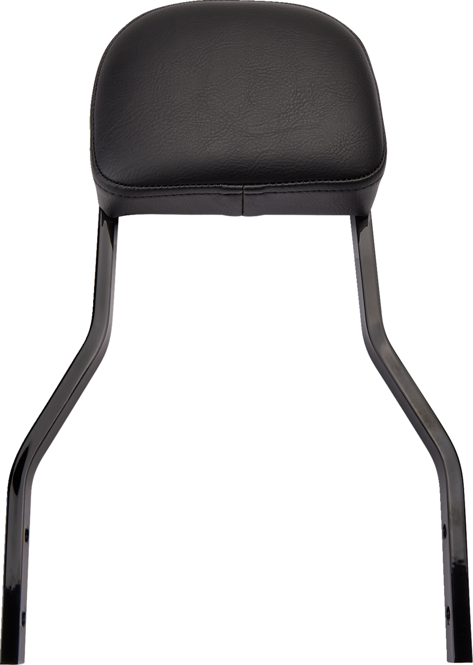 Cobra Backrest Kit