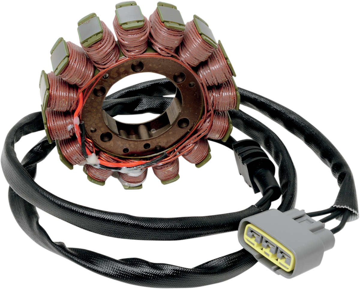 Rick's Motorsport Electric Stator
