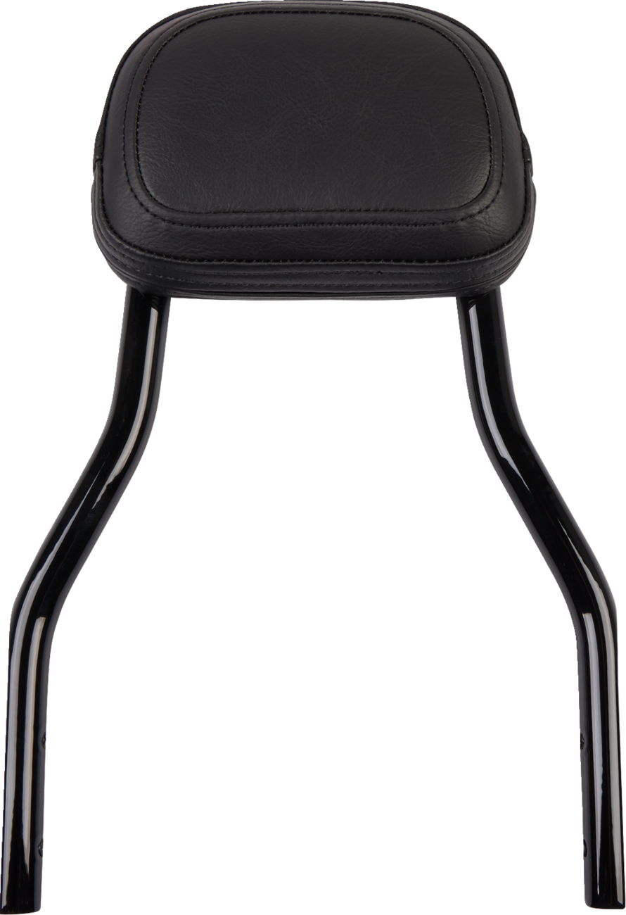Cobra Backrest Kit