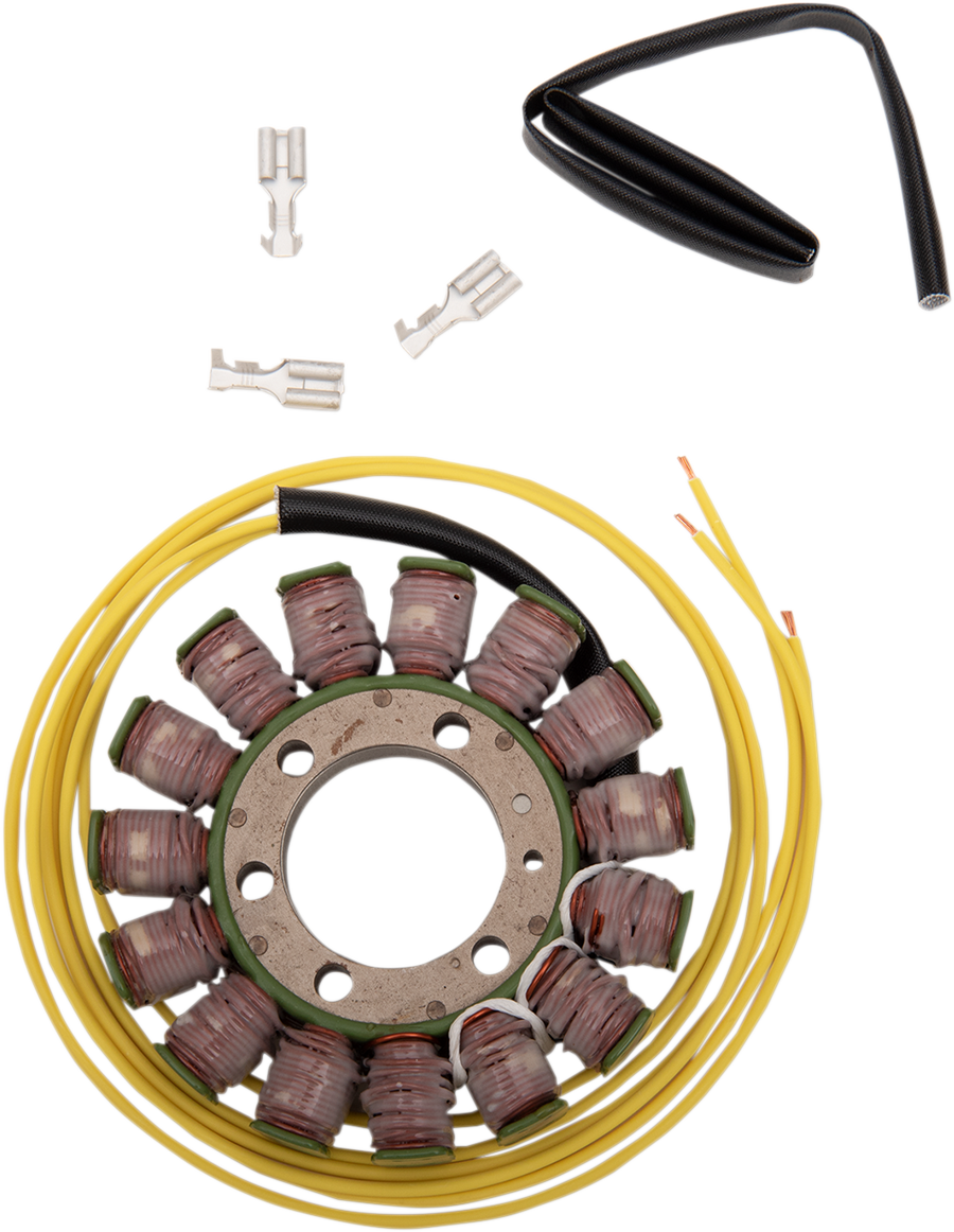 Rick's Motorsport Electric Stator