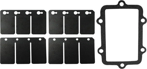 SP1 Reed Valve Rebuild Kit