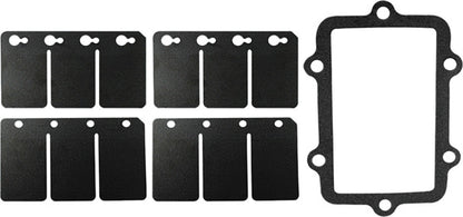 SP1 Reed Valve Rebuild Kit
