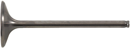 HOT CAMS Intake Valve