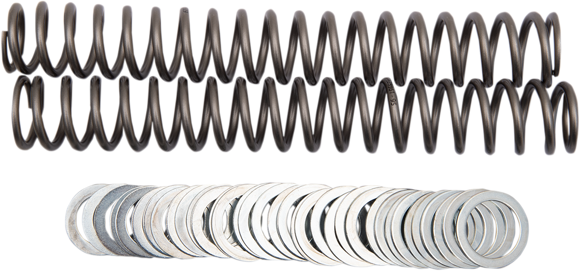 Race Tech Fork Springs