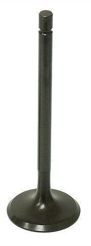 Namura Intake Valve
