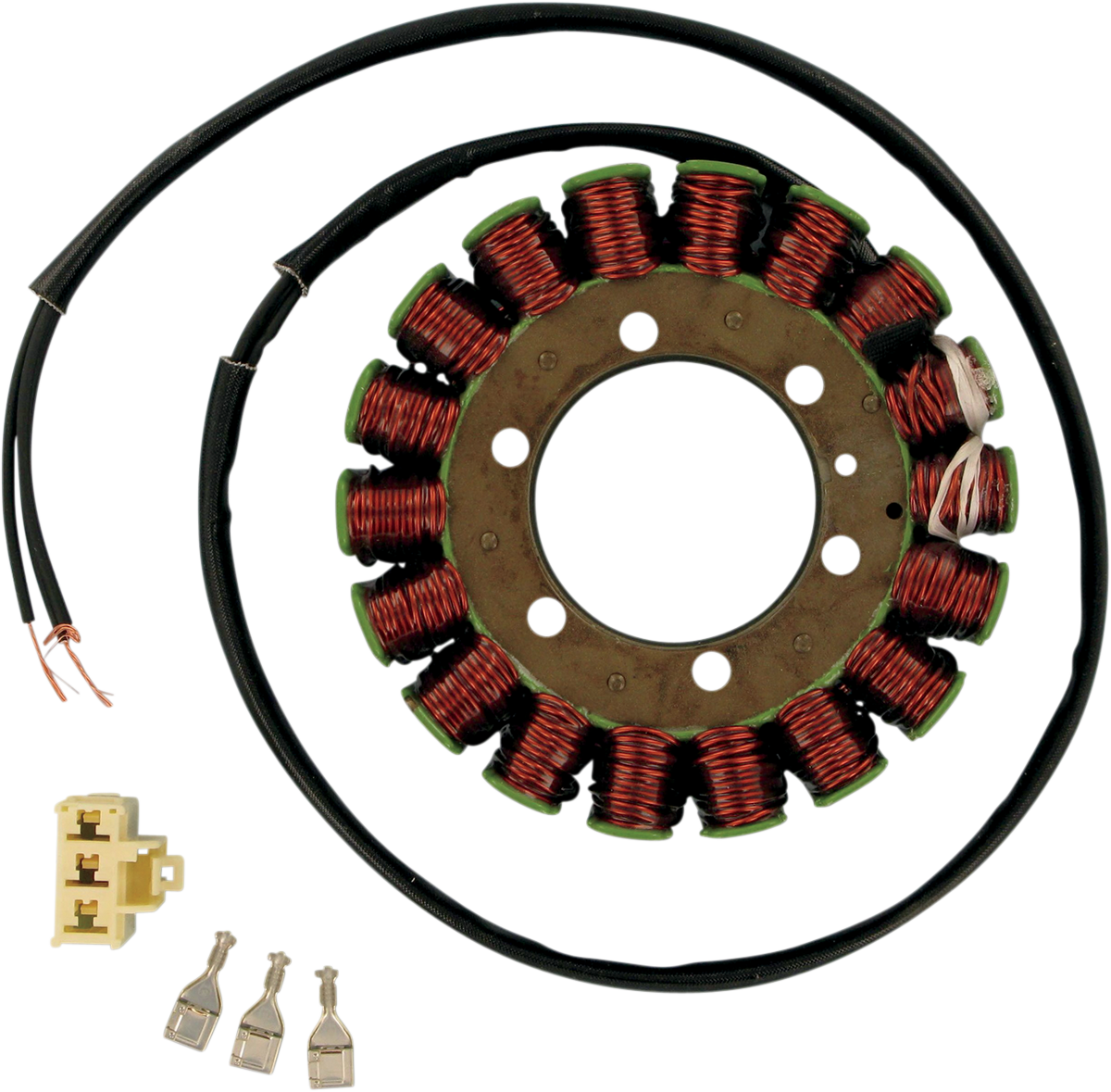Rick's Motorsport Electric Stator