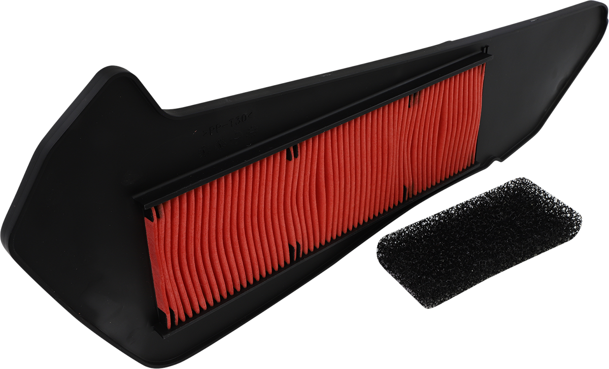 HIFLOFILTRO Scooter Air Filter
