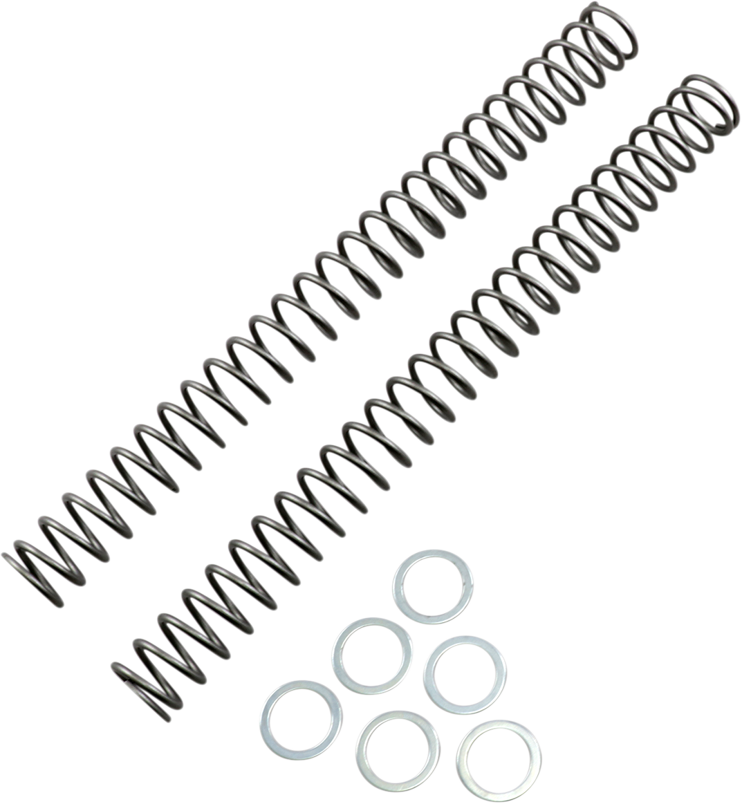 Race Tech Fork Springs