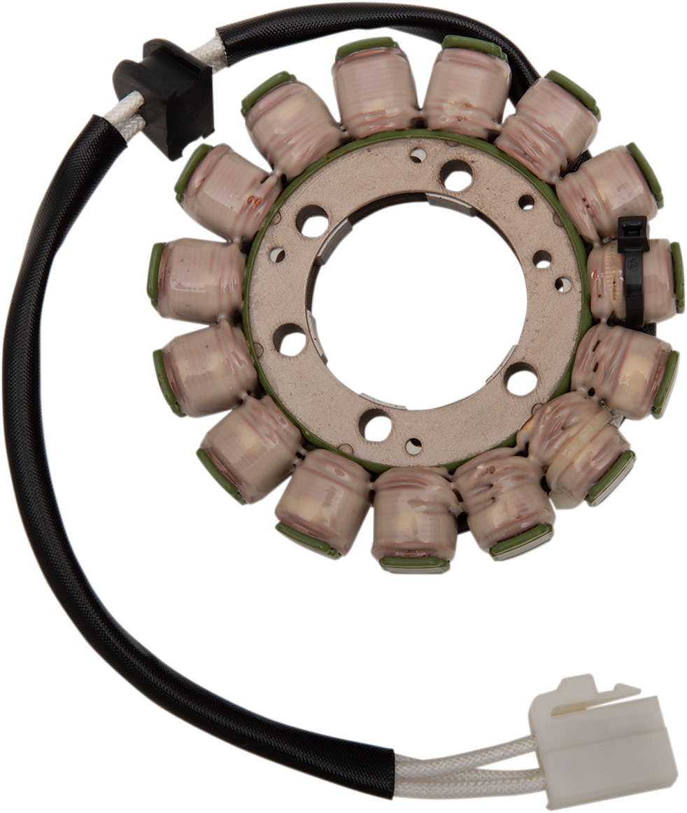 Rick's Motorsport Electric Stator