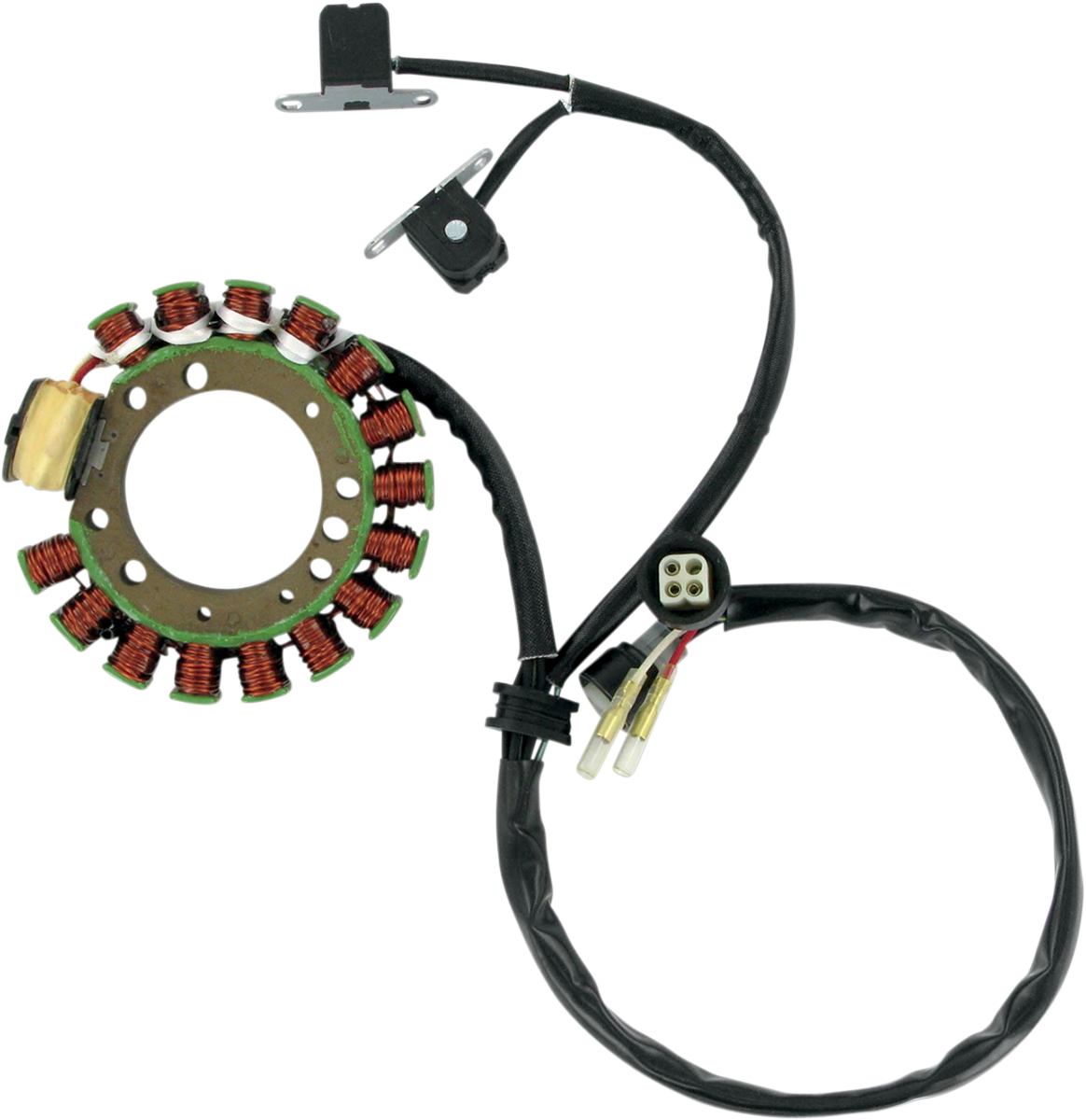 Rick's Motorsport Electric Stator