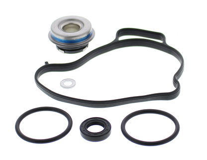 VERTEX Water Pump Rebuild Kit
