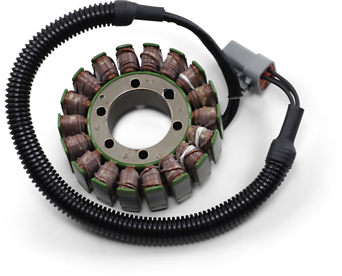 Rick's Motorsport Electric Stator