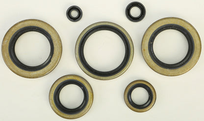 VERTEX Oil Seal Kit