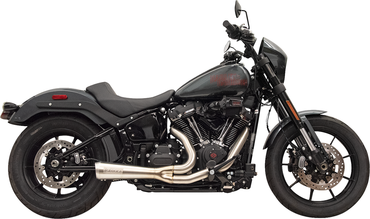 Bassani Xhaust 2-into-1 Ripper Exhaust System with Megaphone Muffler
