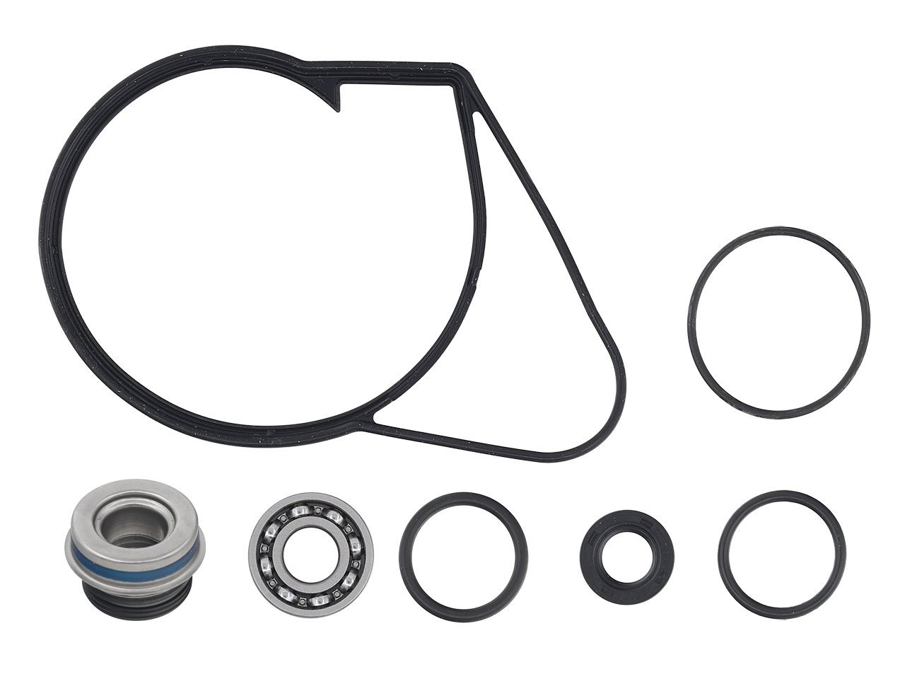 SP1 Water Pump Repair Kit