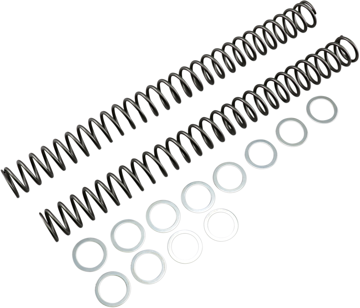 Race Tech Fork Springs