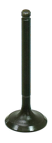 Namura Intake Valve