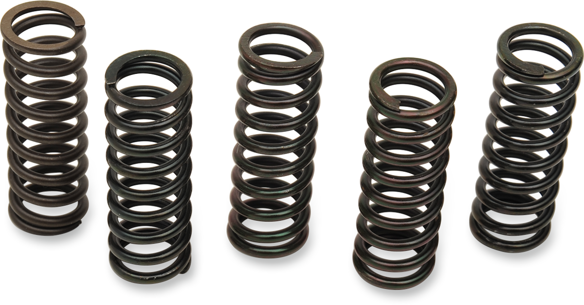 Barnett Clutch Spring Set