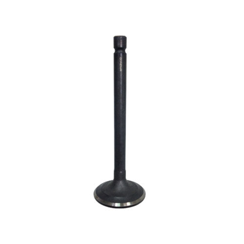 Namura Intake Valve