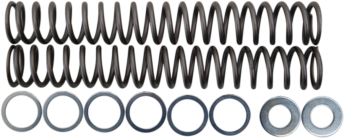 Race Tech Fork Springs