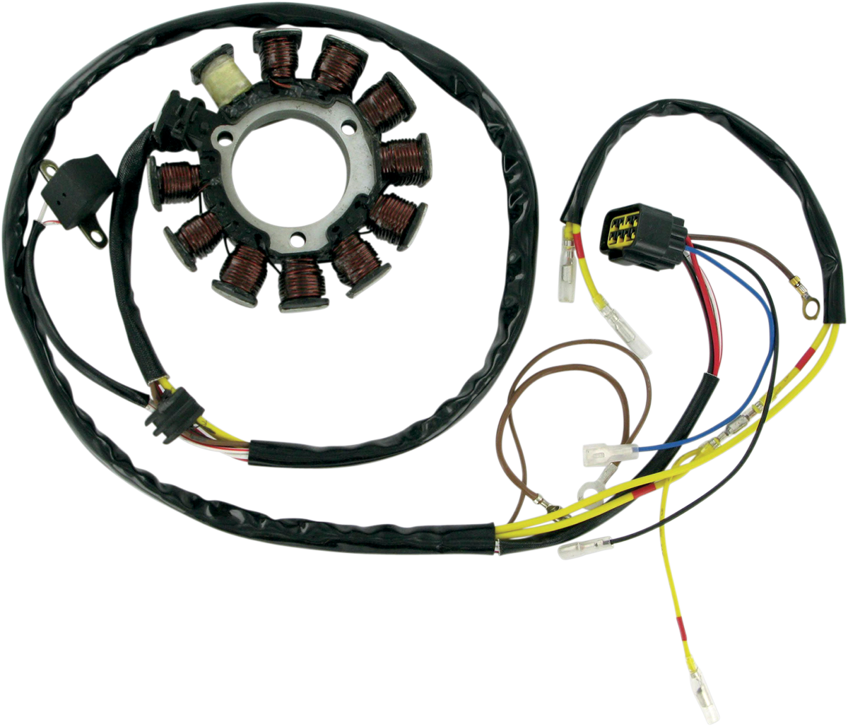 Rick's Motorsport Electric Stator