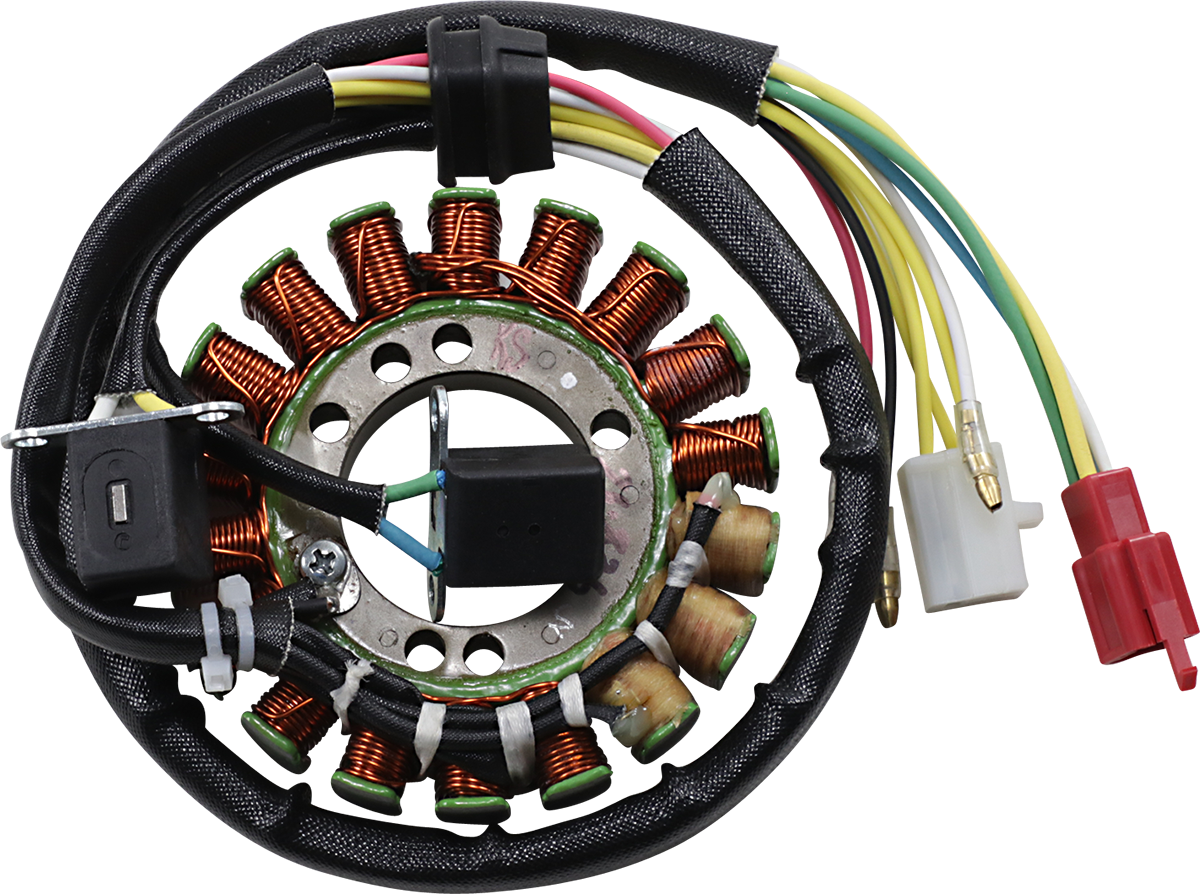 Rick's Motorsport Electric Stator