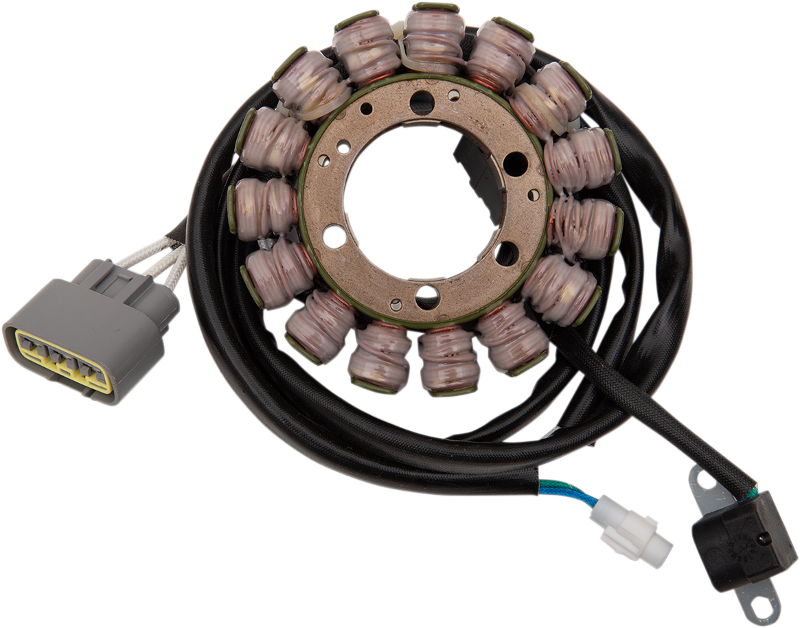 Rick's Motorsport Electric Stator