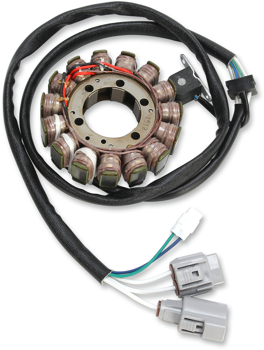 Rick's Motorsport Electric Stator