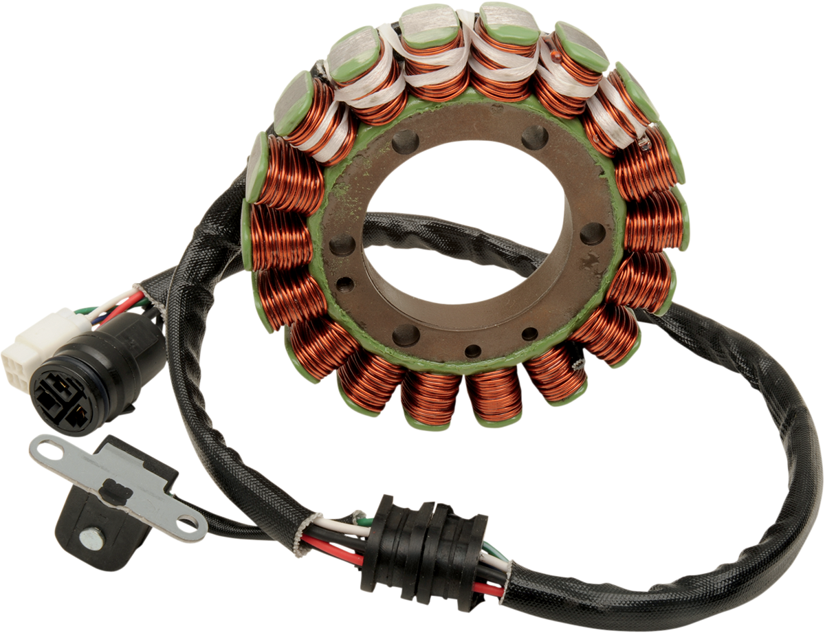 Rick's Motorsport Electric Stator