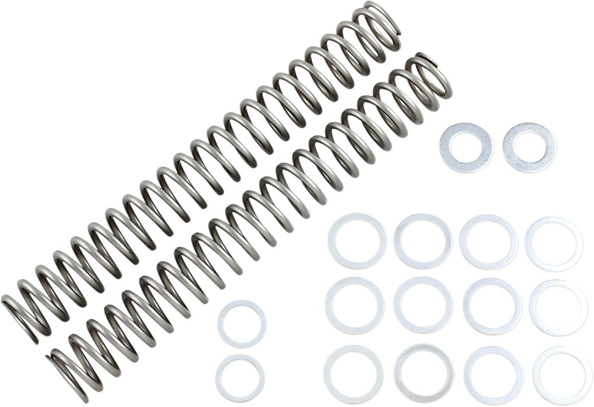 Race Tech Fork Springs