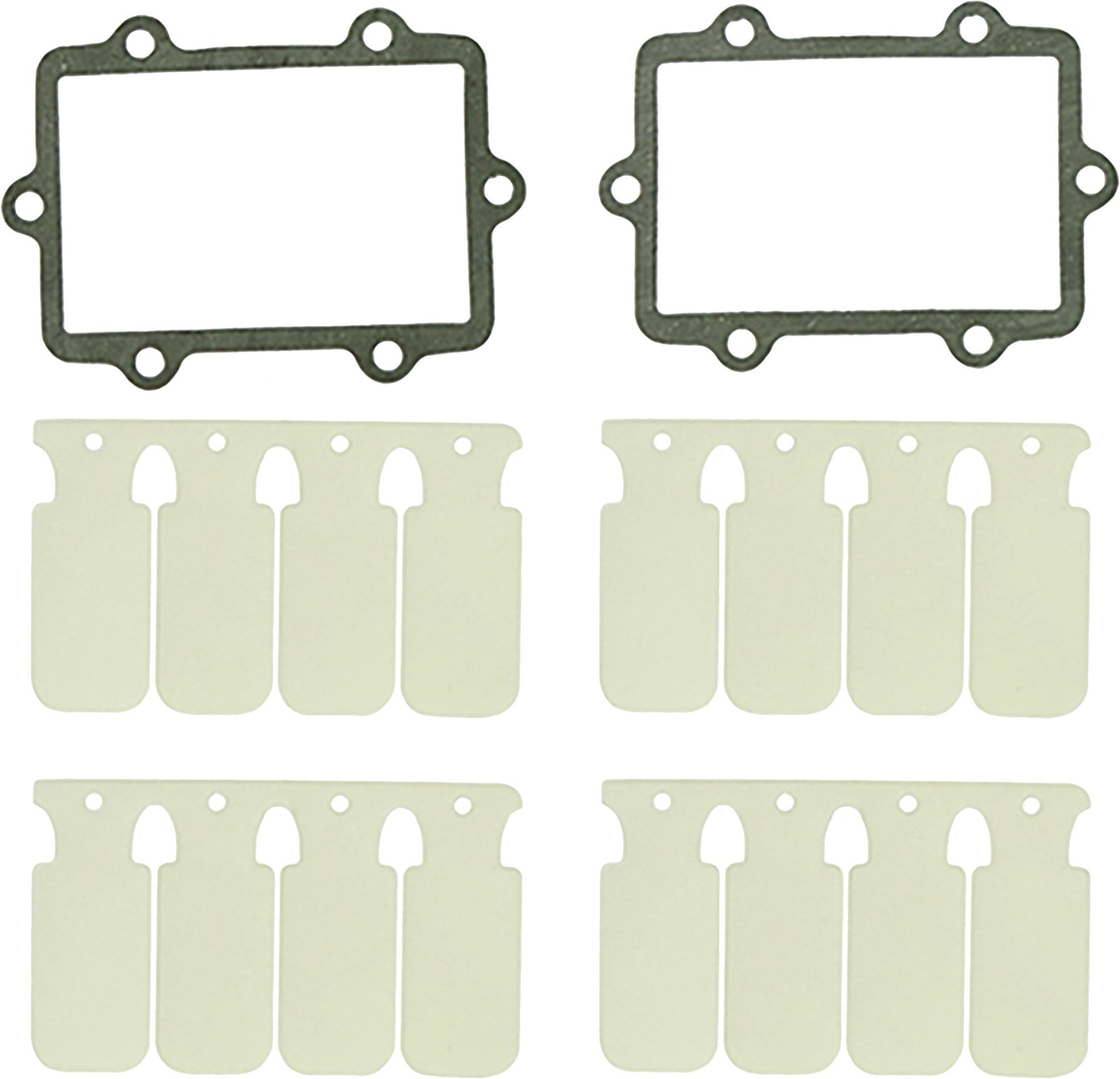 SP1 Reed Valve Rebuild Kit