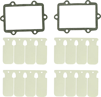 SP1 Reed Valve Rebuild Kit